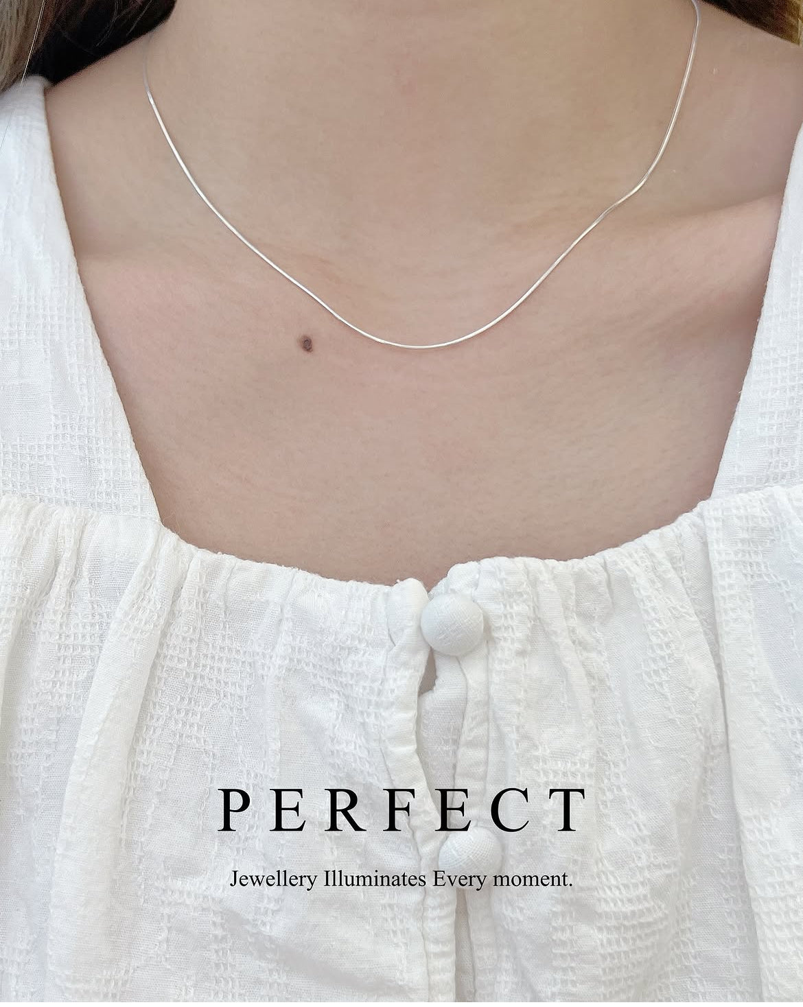S925 Snake Necklace | 925銀蛇骨鏈✨