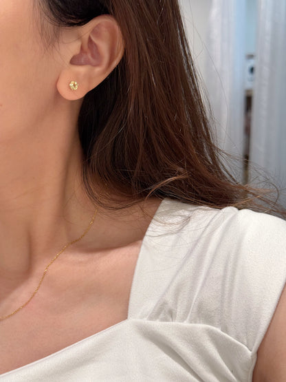 Birth Stone S925 Earrings | 誕生石六爪S925銀耳釘✨